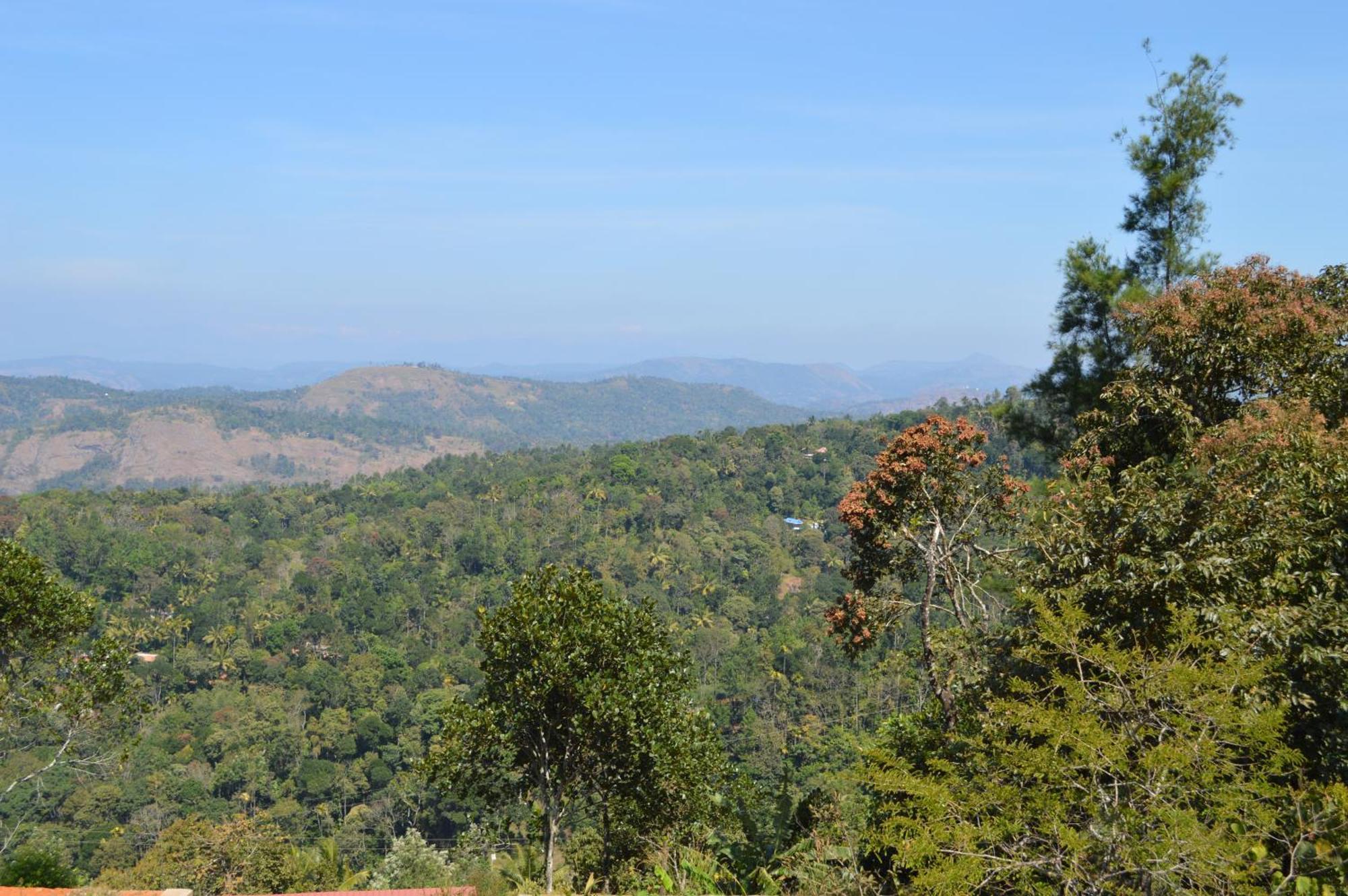 Ashramam Health Resort Kattappana Extérieur photo