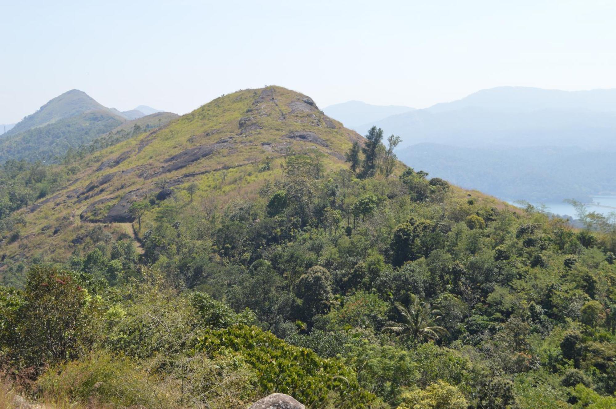 Ashramam Health Resort Kattappana Extérieur photo